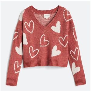 Pinique v neck sweater